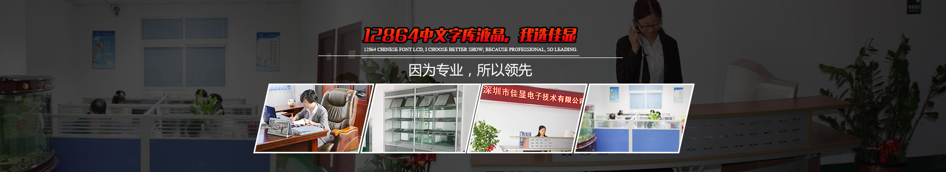 12864中文字庫液晶